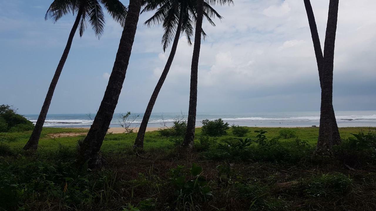 Oseda Nias Surf House Hotel Hilibotodane Eksteriør billede