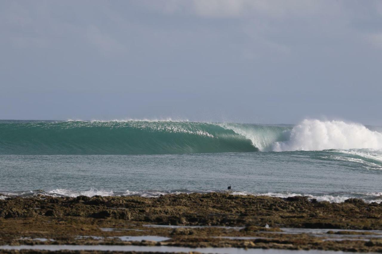 Oseda Nias Surf House Hotel Hilibotodane Eksteriør billede