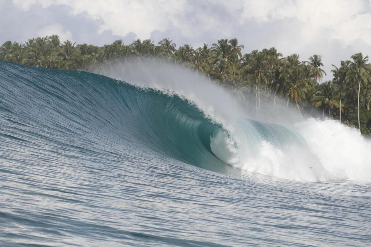 Oseda Nias Surf House Hotel Hilibotodane Eksteriør billede
