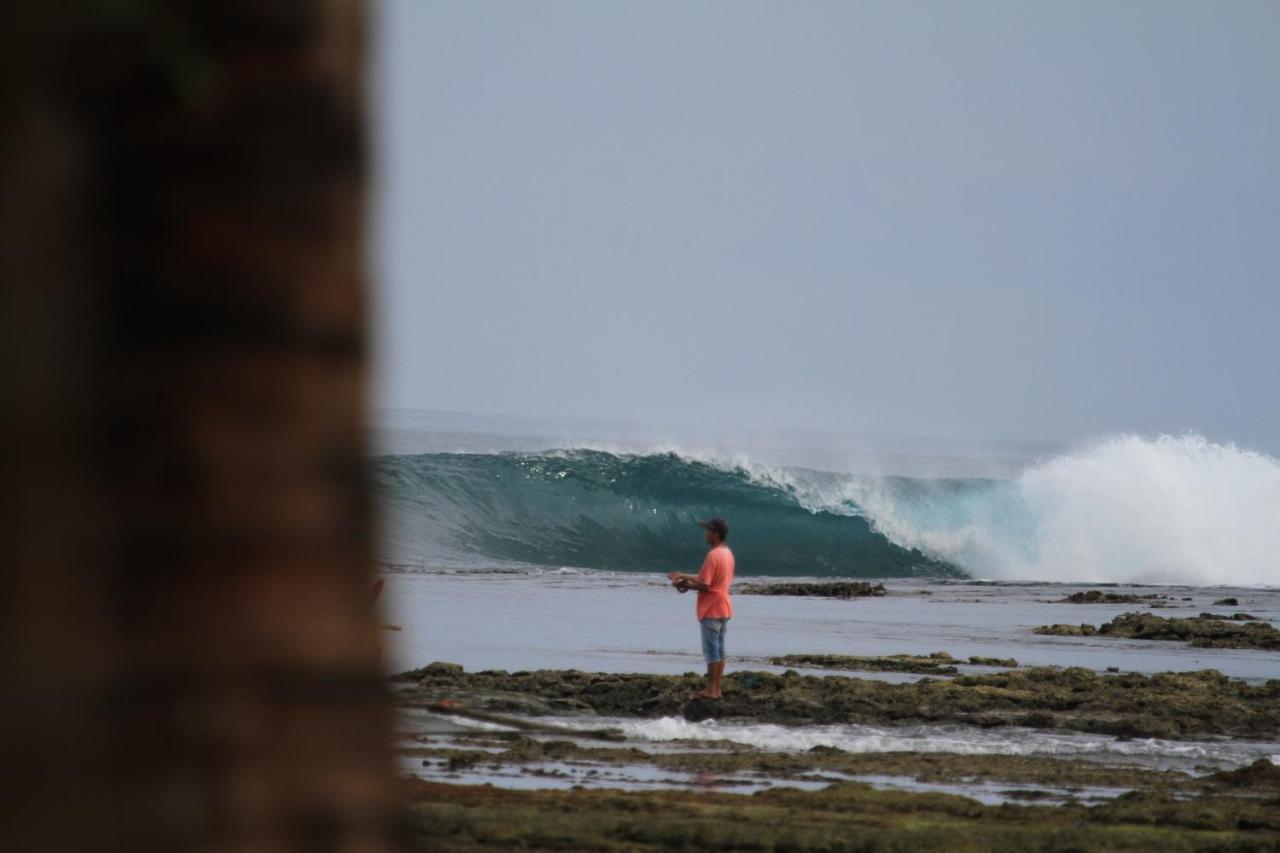 Oseda Nias Surf House Hotel Hilibotodane Eksteriør billede